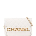 CHANEL Enchained calfskin shoulder bag with flap and chain 2019